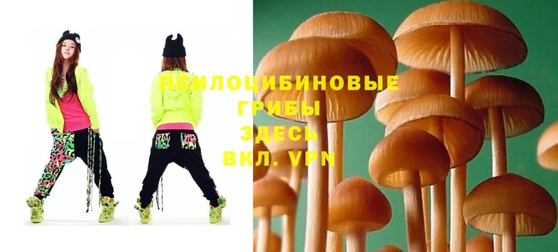 Псилоцибиновые грибы MAGIC MUSHROOMS  дарк нет как зайти  Кувшиново 